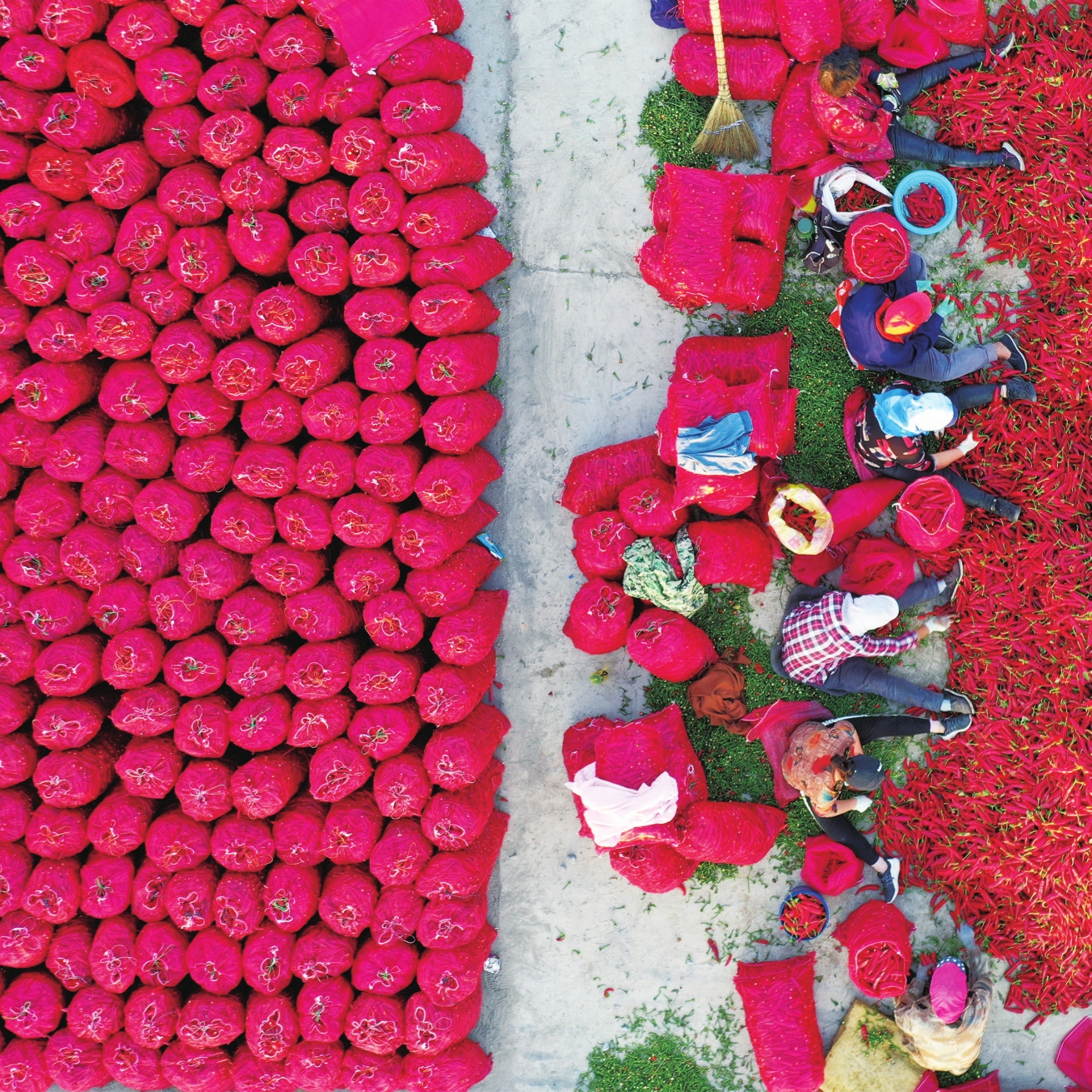 吉林省白城市：“一城三区”，开启向美而行新征程