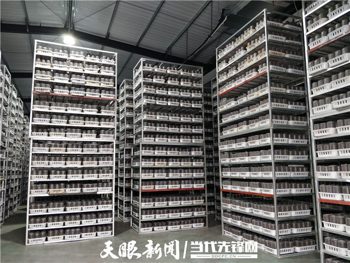 貴州水城：一座菌種場與億元級産業的崛起