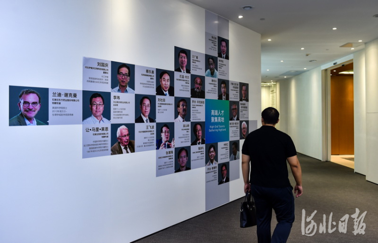 河北石家庄：多措并举打造人才集聚“强磁场”