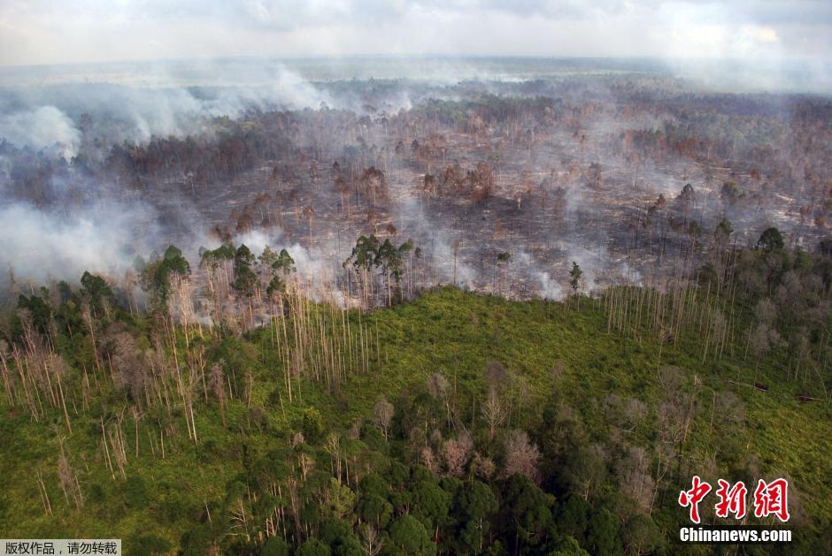 印尼发生山火 直升机空中救灾