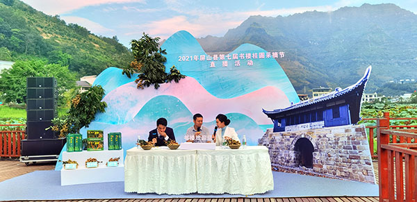 宜宾屏山县举行第七届书楼桂圆采摘节直播活动_fororder_走进直播间的书楼镇副镇长何坤（中）-摄影高学兵