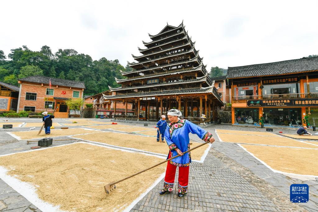 （中首）贵州镇远：报京侗寨秋色美