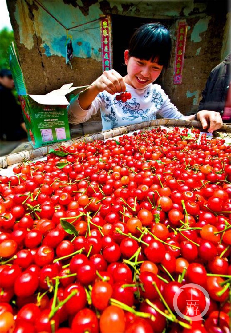 【区县】重庆巴南区：22个镇街负责人当主播 带你尝美食买“土货”