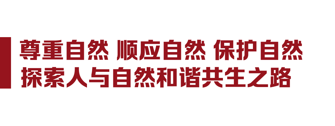 了望·治国理政纪事丨质量,中国经济由大到强的关键之举