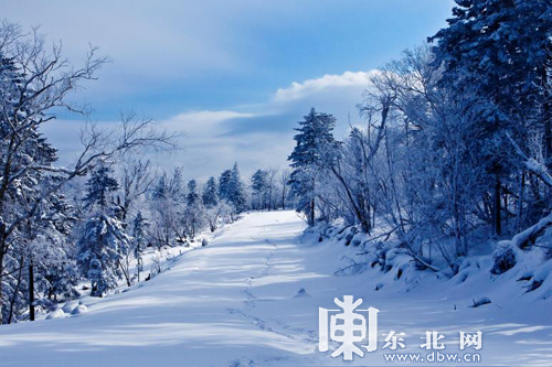 【龙游天下】北大壶首届哈尔滨新雪季推介会盛大召开