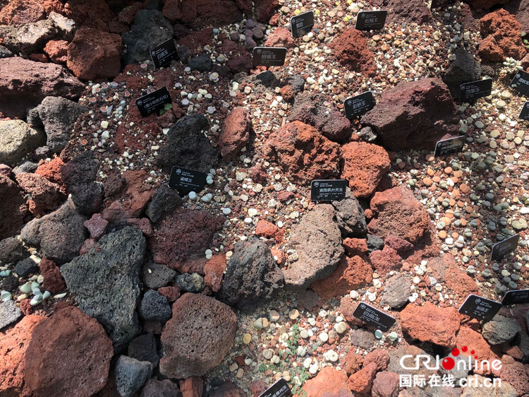 图片默认标题_fororder_鐑甫鑽掓紶妞嶇墿