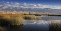 新疆哈密的高家湖濕地公園