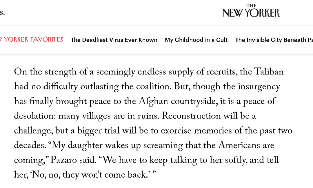 这篇关于阿富汗和塔利班的文章，太绝了！