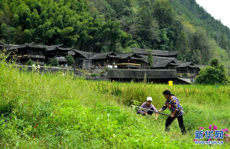 湖北宣恩：深山古寨引客來