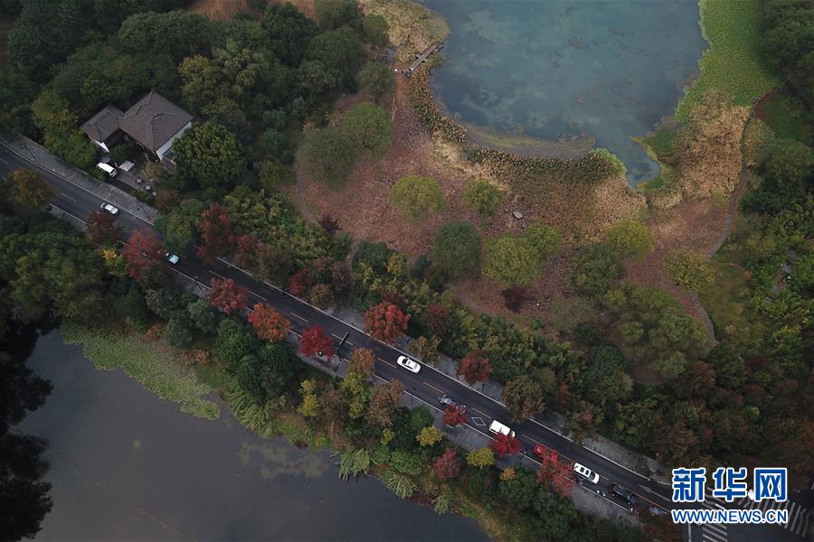 杭州西湖：多彩的秋意