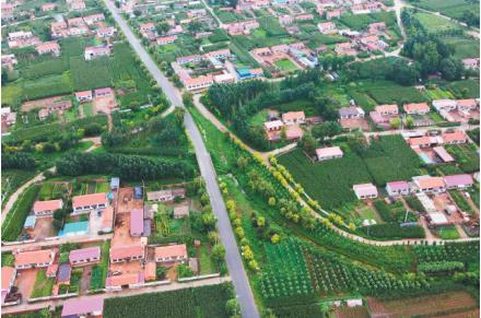 沈阳市康平县：玉米有机 生活有味_fororder_玉米3