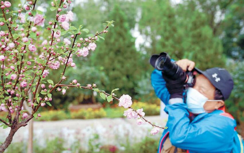 世界花卉大觀園：300余種新優花卉裝飾金秋