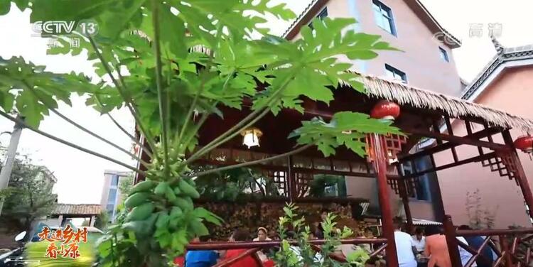 【走进乡村看小康】云南弥勒：荒山变身花园 风光旖旎如画
