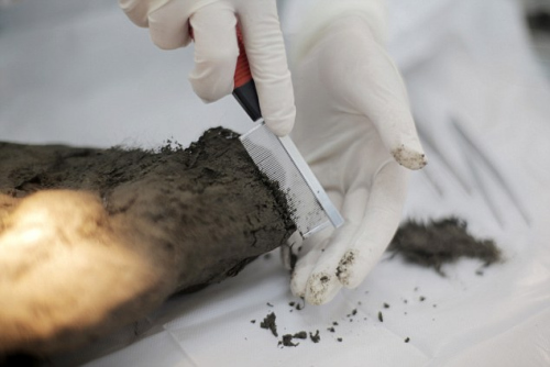 科學家解剖木乃伊小狗 凍土“冰封”逾萬年(組圖)