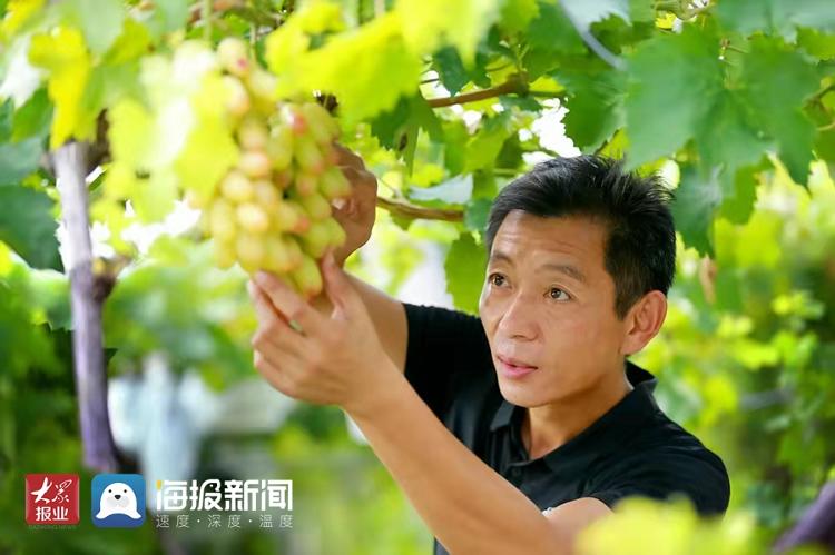 蒙山腳下新農人的夢想：讓所有人吃上優質葡萄