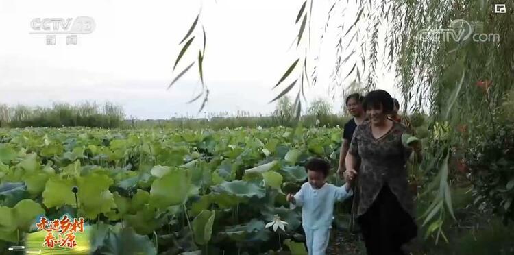 【走进乡村看小康】湖南津市：“小存折”促共治 民风淳产业兴