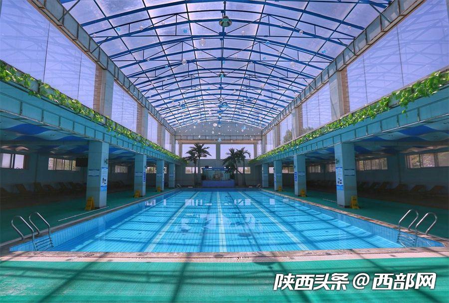 绿树浓阴夏日长 邂逅美丽神木