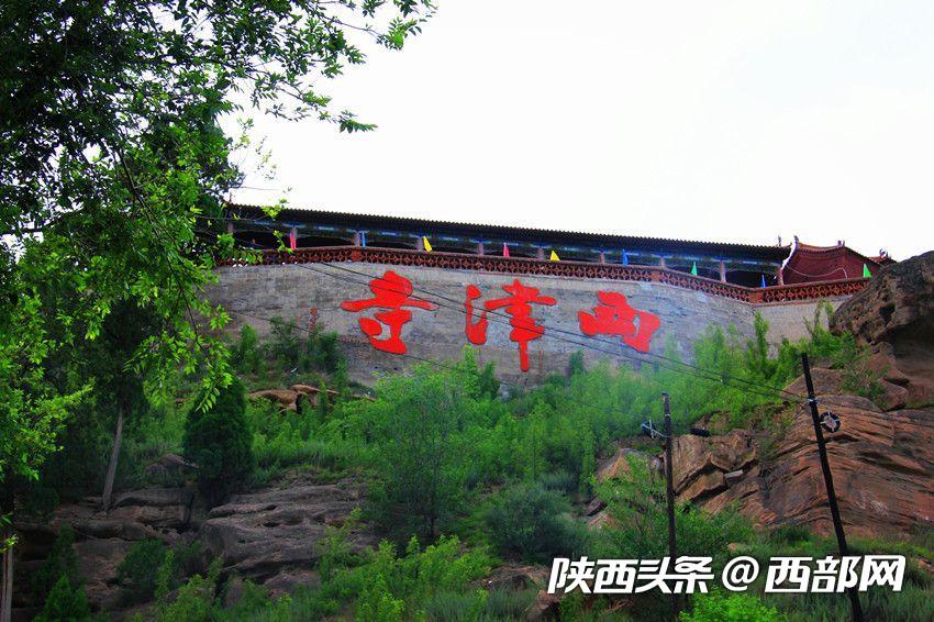 绿树浓阴夏日长 邂逅美丽神木