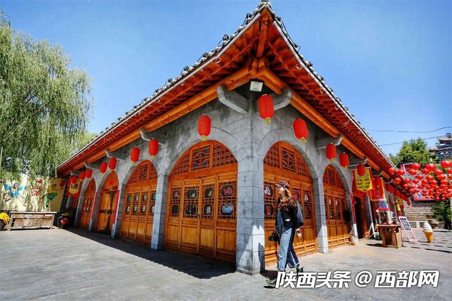 绿树浓阴夏日长 邂逅美丽神木