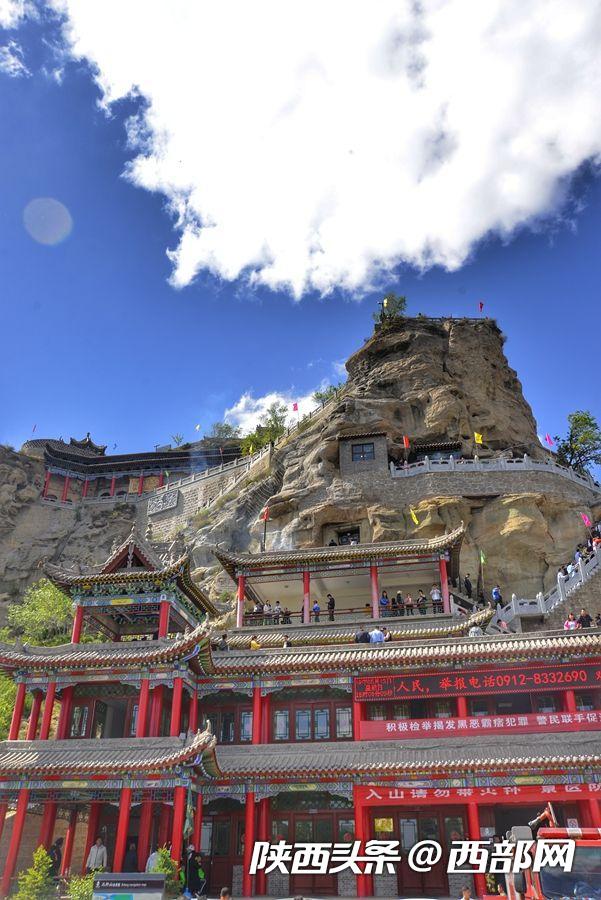 绿树浓阴夏日长 邂逅美丽神木