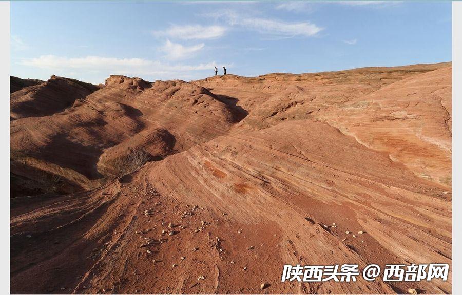 绿树浓阴夏日长 邂逅美丽神木