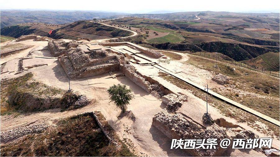 绿树浓阴夏日长 邂逅美丽神木