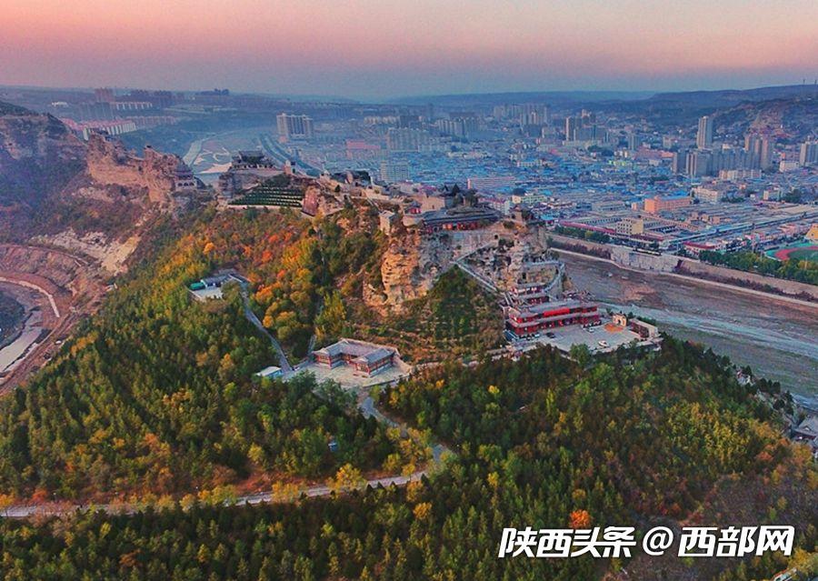 绿树浓阴夏日长 邂逅美丽神木