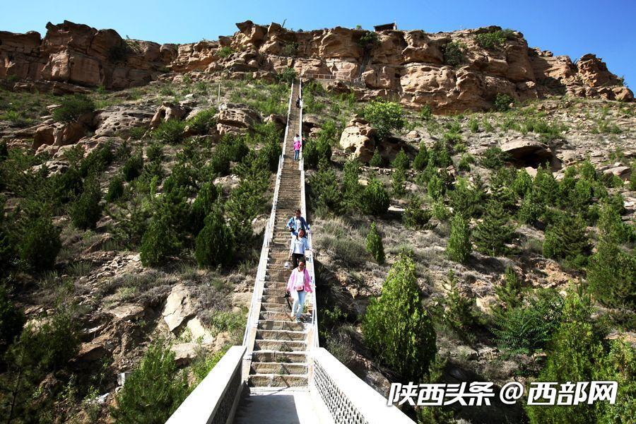 绿树浓阴夏日长 邂逅美丽神木