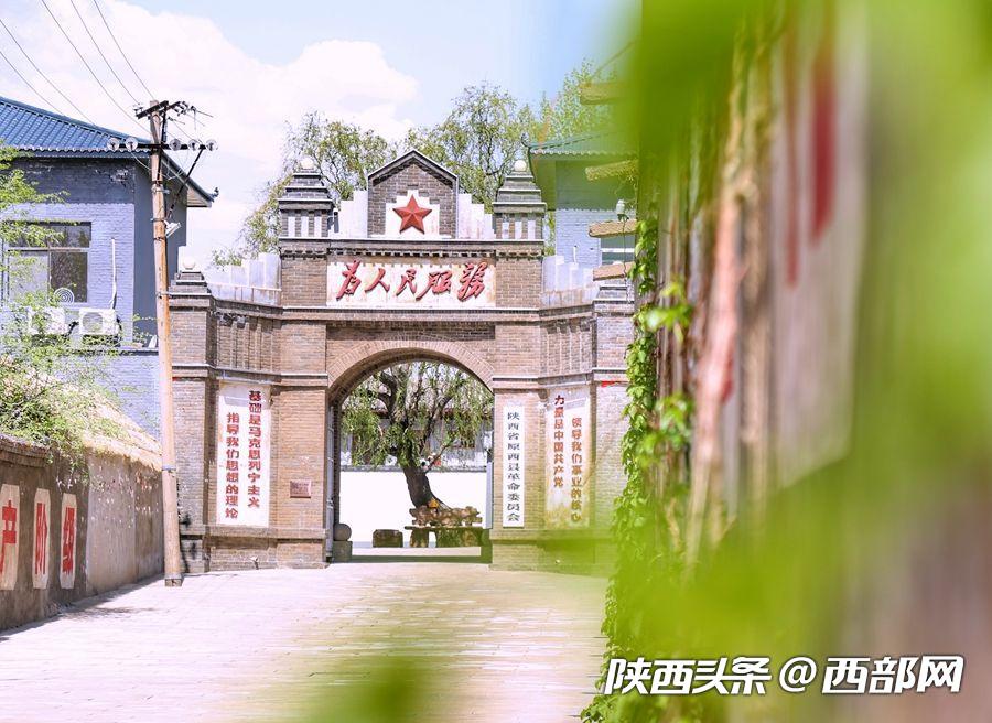 绿树浓阴夏日长 邂逅美丽神木