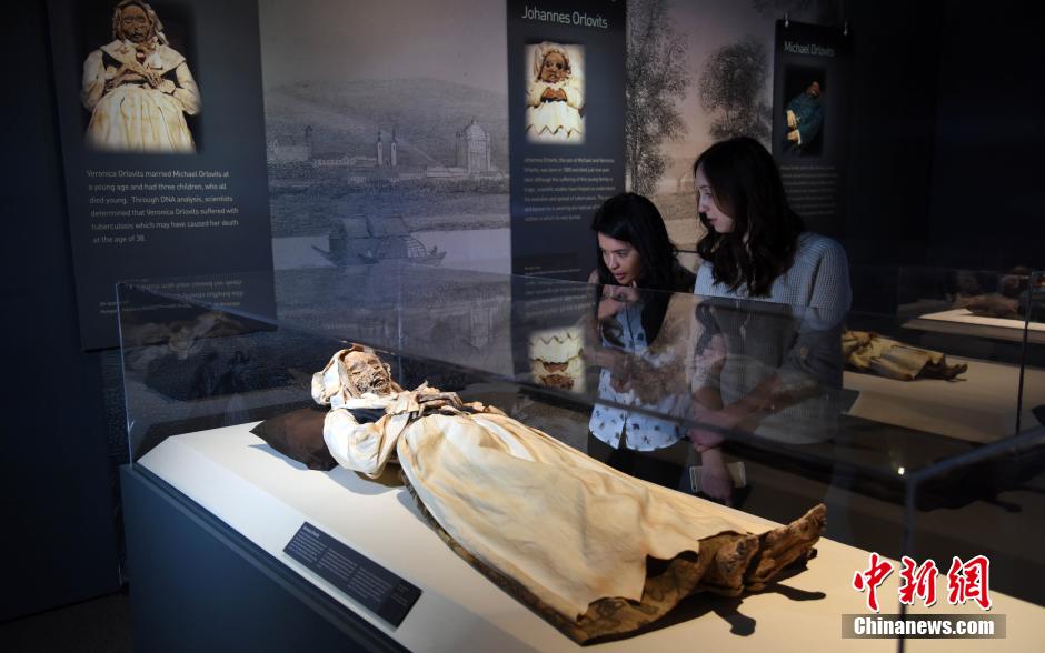 世界最大規模木乃伊展覽亮相美國寶爾博物館