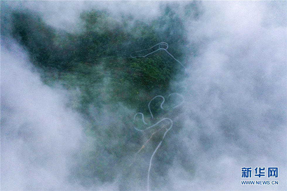 雲霧潭溪山 獨屬於初秋的奇觀！