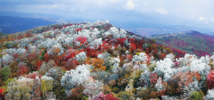 赏醉美金秋游大美白山