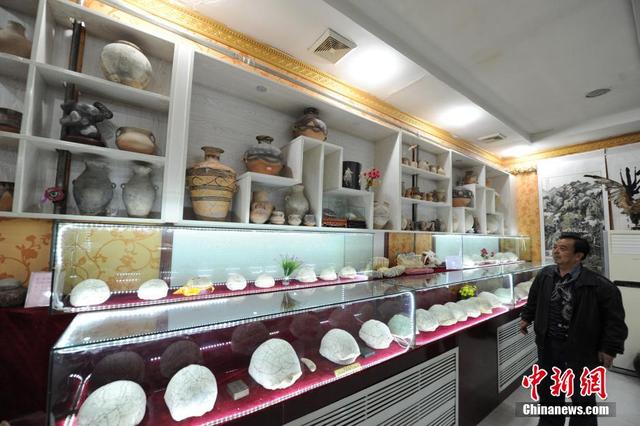 蘭州私人博物館館藏“黃河象”古生物化石