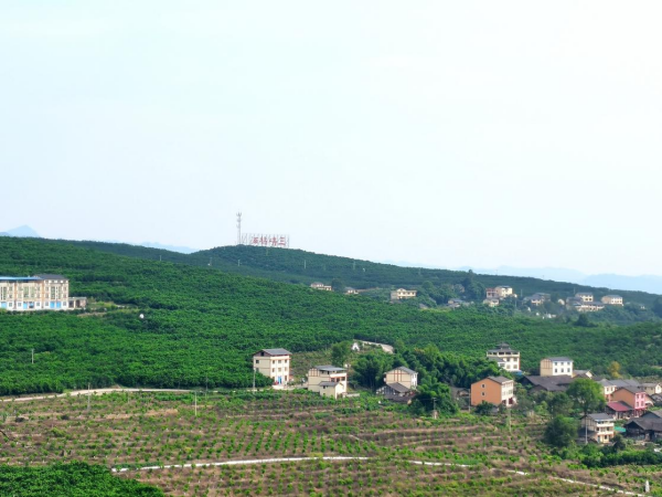 【原創】重慶忠縣“三峽庫心·長江盆景”跨區域發展項目取得階段性成效_fororder_1