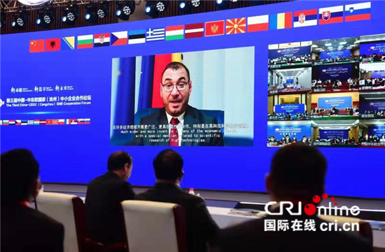 第三届中国-中东欧国家（沧州）中小企业合作论坛为各国企业共谋合作之路_fororder___172.100.100.3_temp_9500027_1_9500027_1_1_52fbac32-9281-4501-9c81-d45ec0645c55