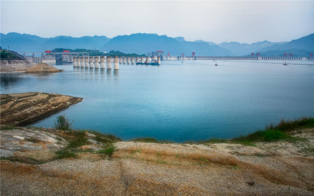 OK【湖北】【附参考链接】三峡库区首次产黏沉性卵鱼类自然繁殖生态调度试验完成