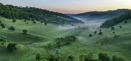 图片默认标题_fororder_20190614gscy-1