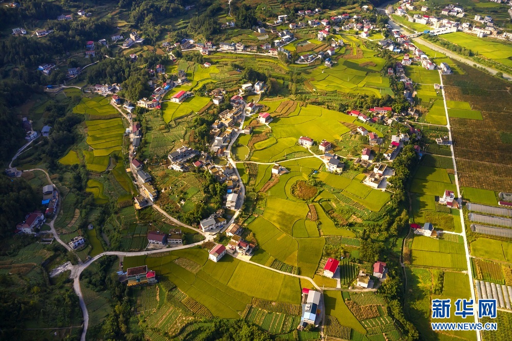 湖北建始：夕照白雲村 山野盡染秋