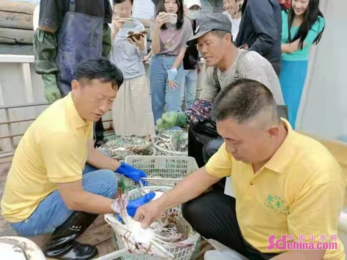 “幸福开海”捕蟹忙 探访青岛本地螃蟹上岸过程