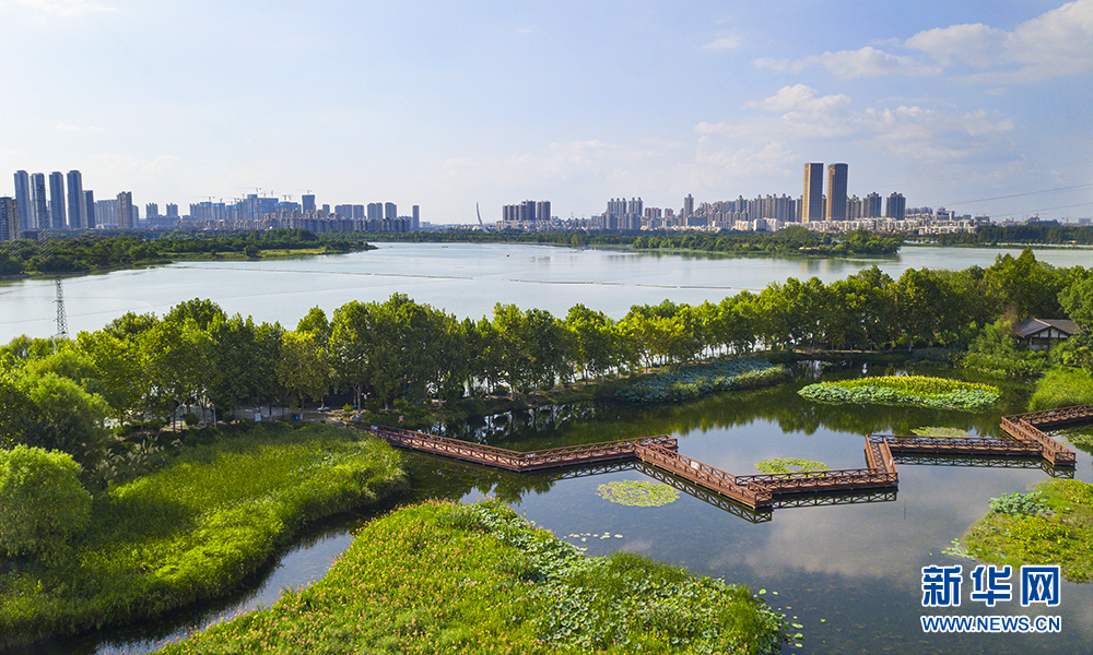 航拍武漢金銀湖國家城市溼地公園