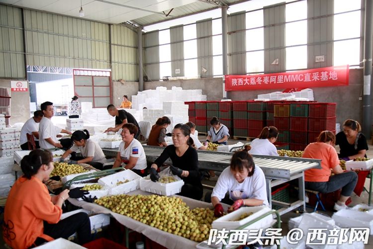 以銷優産 阿裏社區電商數字賦能大荔冬棗冷鏈直送全國社區_fororder_36f131936dcd8057f1d72d8de1a240db