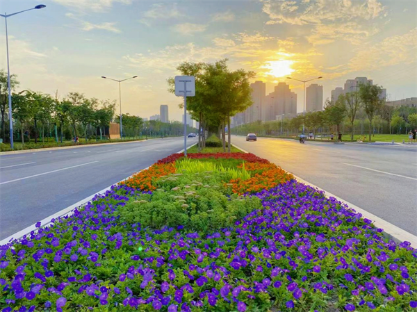 西安市未央区以最美街景喜迎十四运会