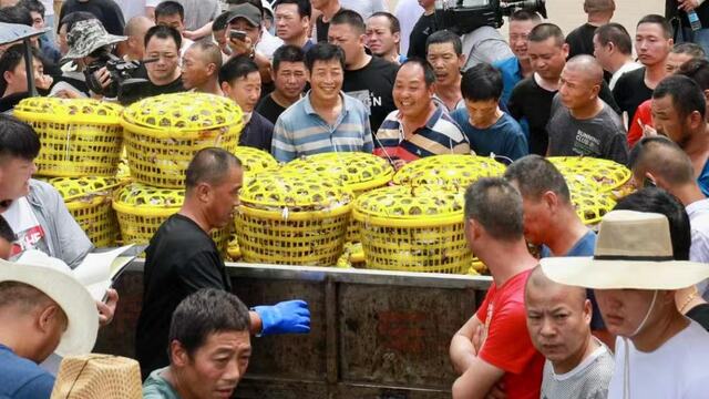 浙江舟山：数字赋能渔业产业高质量发展