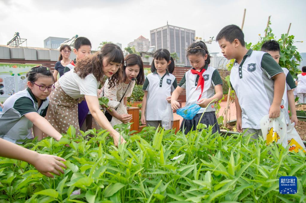 武汉“双减”第一周 孩子们在课后活动上玩“嗨”了