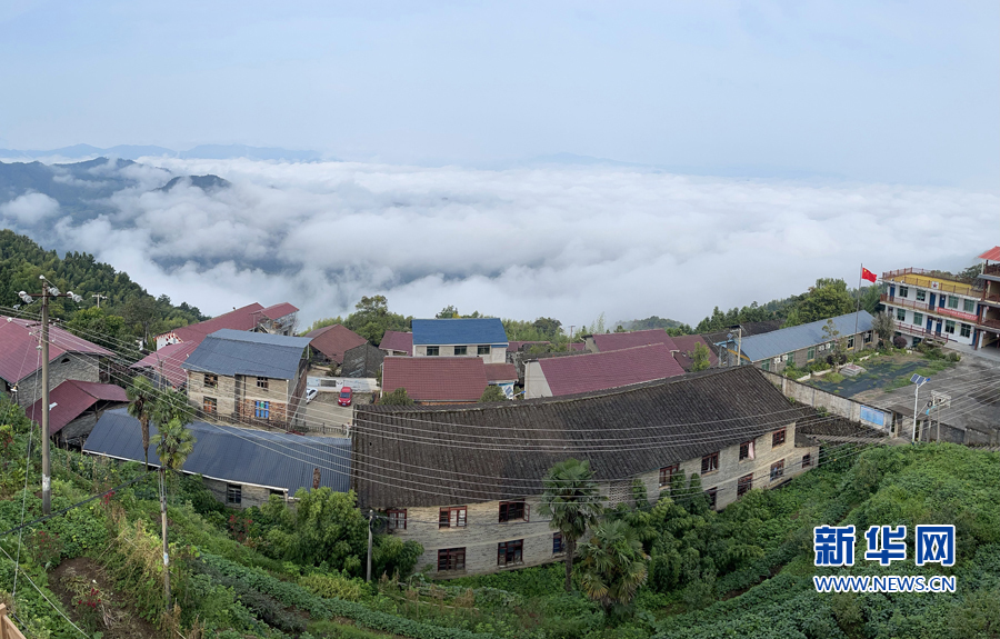 福建順昌：“雲上大富”觀雲海