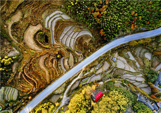 有一种美叫“黄柏山的秋天”