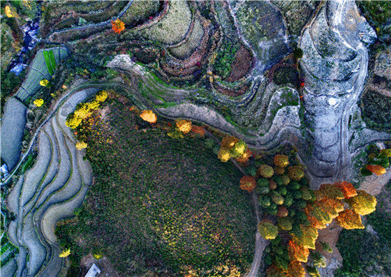 有一种美叫“黄柏山的秋天”