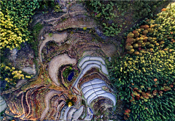 有一种美叫“黄柏山的秋天”