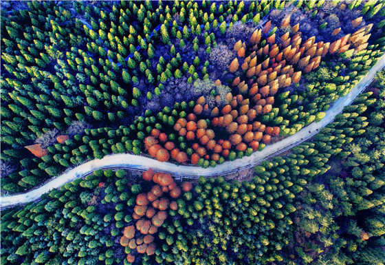 有一种美叫“黄柏山的秋天”