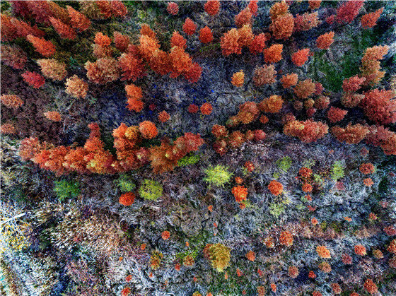 有一种美叫“黄柏山的秋天”